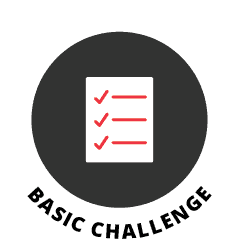 Basic challenges